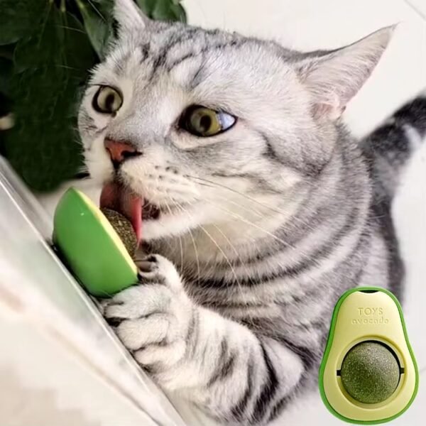 Juguete Interactivo De Aguacate Con Hierba Gatera