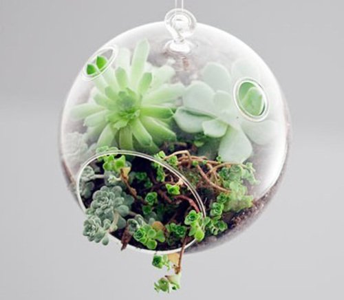 Terrario Colgante, Maceta De Vidrio, Esfera 18.5cm