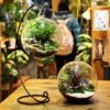 Terrario Colgante, Maceta De Vidrio, Esfera 18.5cm