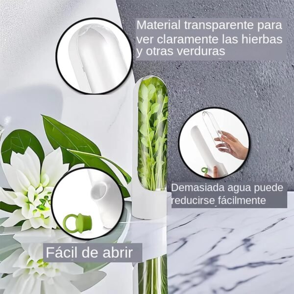 Qhome Recipiente Para Conservar Hierbas En Nevera