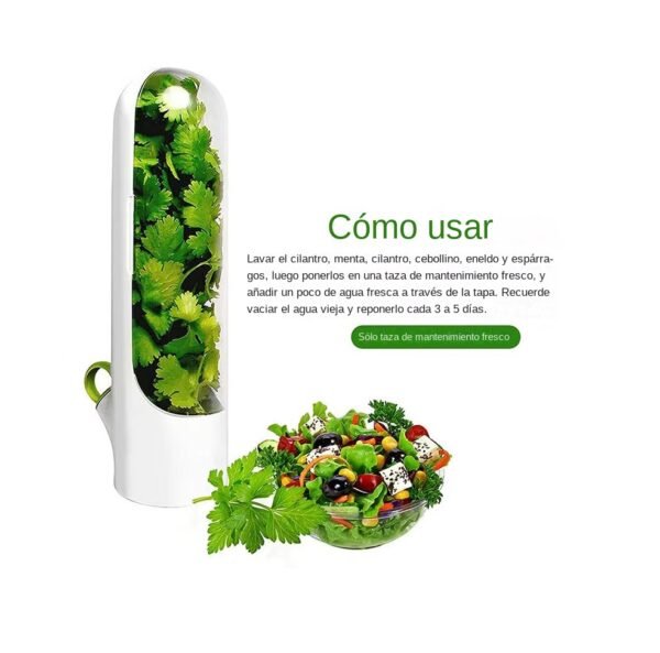Qhome Recipiente Para Conservar Hierbas En Nevera