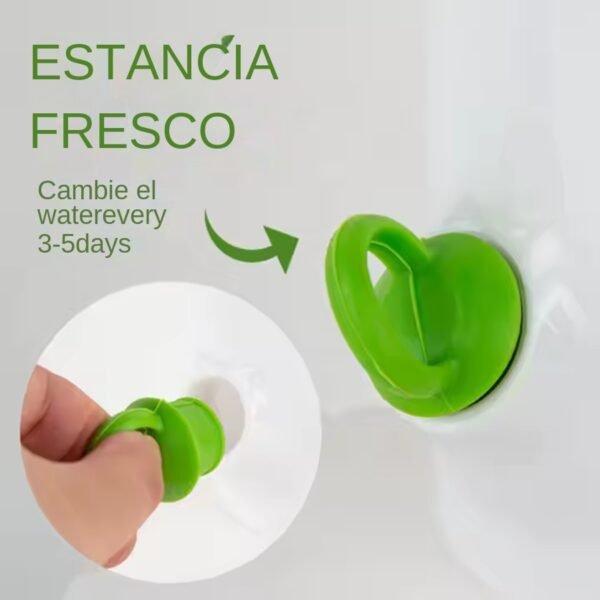 Qhome Recipiente Para Conservar Hierbas En Nevera