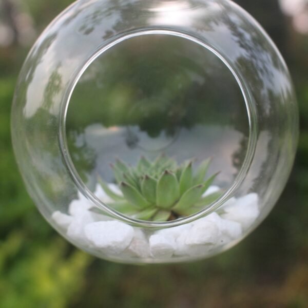 Terrario Colgante, Maceta De Vidrio, Esfera 18.5cm